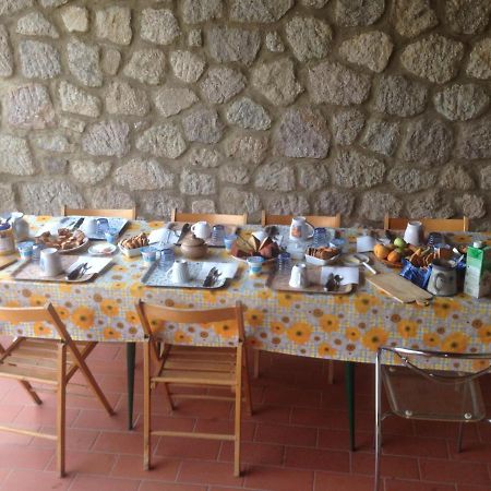 Giardino Di Potentino Seggiano Екстер'єр фото