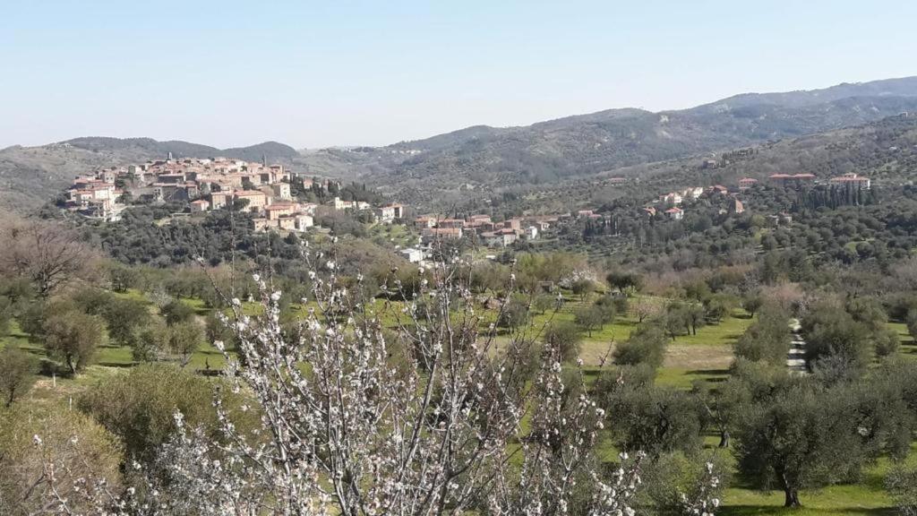 Giardino Di Potentino Seggiano Екстер'єр фото