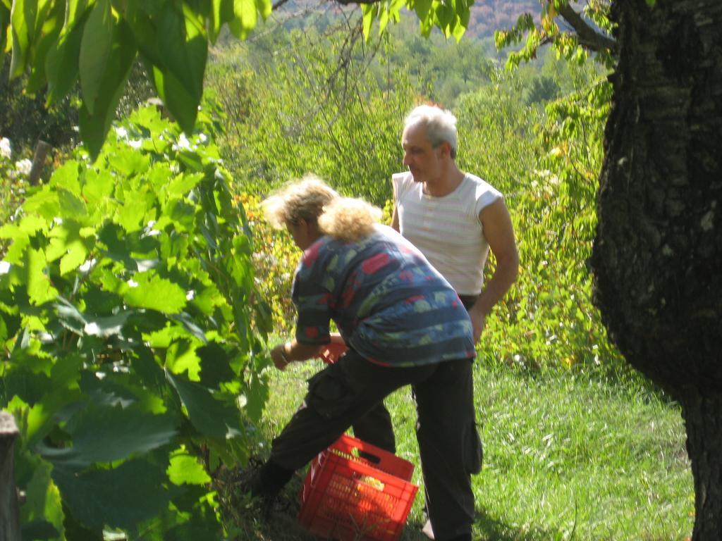 Giardino Di Potentino Seggiano Екстер'єр фото