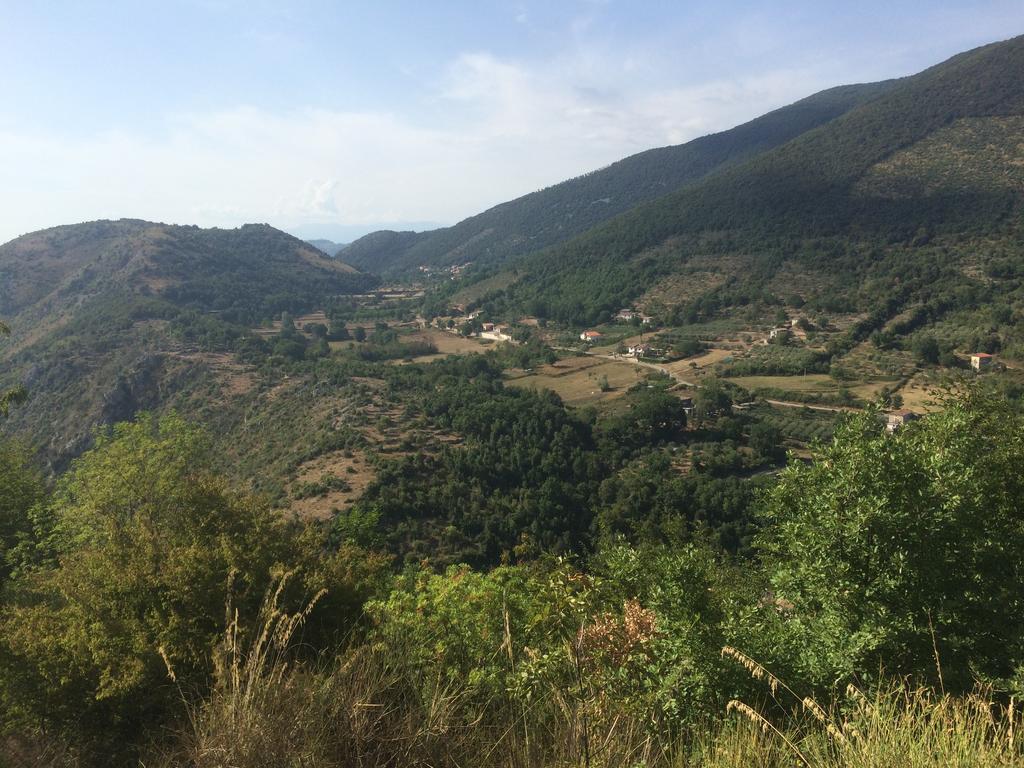 Giardino Di Potentino Seggiano Екстер'єр фото